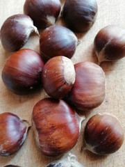 chestnuts isolated on white background