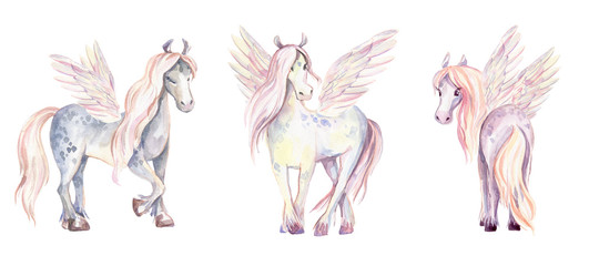 Magic Pegasuses. Watercolor illustration, beautiful isolated pon