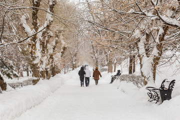 People walk along the alley of the city Park. Winter day. On the branches of trees and on the track is snow.