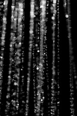 Fototapeta na wymiar blurred water drops as background