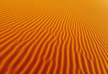 Desert background © Dmitry Pichugin