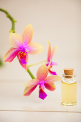Fototapeta na wymiar Essential oil of orchids