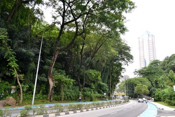Obraz premium The road around a tropical garden