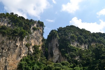 Rock with vegetation on the background of the sky