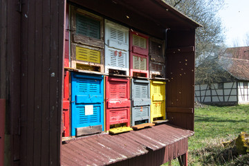 Fototapete bei efototapeten.de bestellen   