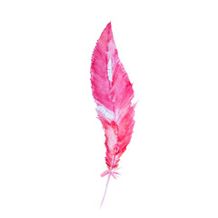 Pink feather watercolor