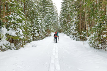Fototapeta na wymiar Man with backpack going in deep snow to winter forest