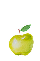Hand drawn watercolor yellow apple