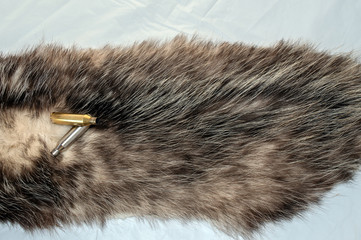 A pair of bullet casings on top of a possum pelt.