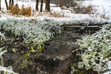 Eternally warm stream flowing from a hot spring in winter. Non-freezing winter grass.