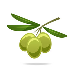 Olive vector isolated illustration