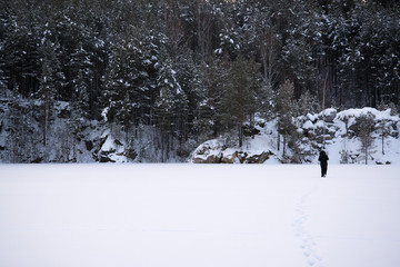 man in forest during snow storm