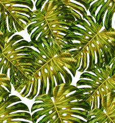 Tropical leaf design featuring yellow and green monstera plant leaves on a white background. Seamless vector repeating pattern. 