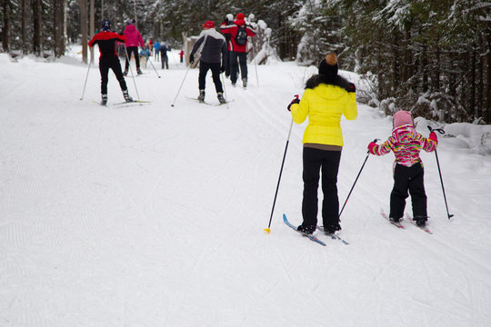 Cross Country Ski 