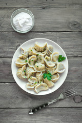 Homemade Meat Dumplings