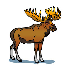 European Moose elk animal from the north clipart