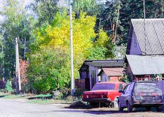 Obraz premium A dirt road among green grasses beautiful