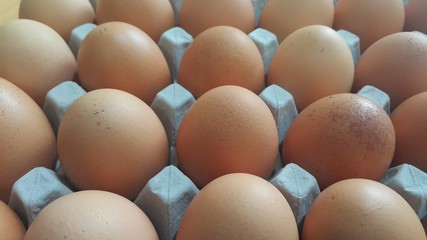 Fresh farm chicken eggs in an egg-carton or egg holder placed in market for sale