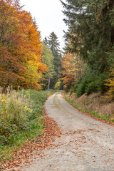 Obraz premium Hiking Trails in Bavaria