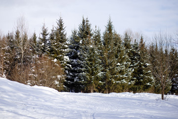Russia, Tatarstan, Kazan. Winter landscape in the suburbs of Kazan.