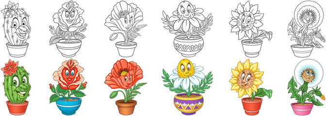 Flowers set. House plants in pots