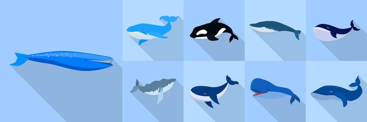 Whale icon set. Flat set of whale vector icons for web design