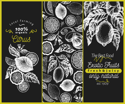 Vintage citrus banner template set. Lemon tree design. Hand drawn vector fruit illustration on chalk board. Engraved style menu cover.