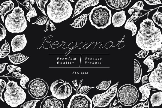 Bergamot branch design template. Kaffir lime frame. Hand drawn vector fruit illustration on chalk board. Engraved style vintage citrus background.