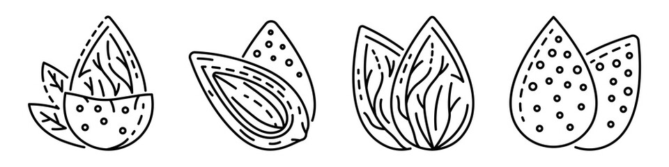 Almond icon set. Outline set of almond vector icons for web design isolated on white background