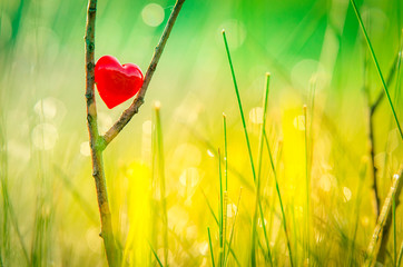 Red heart in nature with wonderful morning drops background and beautiful light. Original wallpaper or postcard for wedding or valentine day, with space for quote.