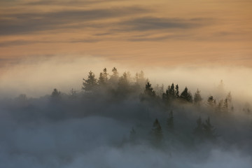 Brouillard sur les sommets des Vosges