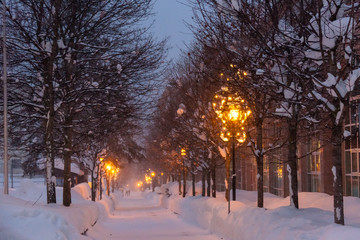 Swiss cold winter streetlights snow