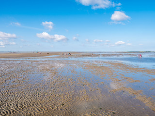 Group of people mudflat hiking on Waddensea at low tide from Friesland to West Frisian island Ameland, Netherlands