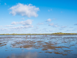 Group of people mudflat hiking on Waddensea at low tide from Friesland to West Frisian island...