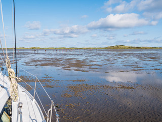 Group of people mudflat hiking on Waddensea at low tide from Friesland to West Frisian island...