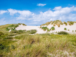 Fototapeta na wymiar Rear view of two people sitting together on sand dune in nature reserve Het Oerd on West Frisian island Ameland, Friesland, Netherlands