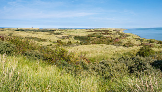 Panorama of dunes, North Sea and Waddensea coast of nature reserve Het Oerd on West Frisian island Ameland, Friesland, Netherlands