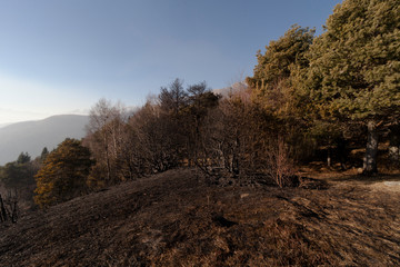 l'aspetto di un monte dopo un incendio - 241434923