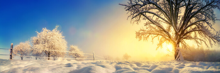 Panorama von stimmungsvoller Winterlandschaft