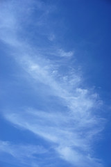 Blue skies and white clouds background. 