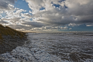 Fototapeta premium High tide on the Baltic coast (Darss peninsula)