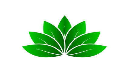 Green lotus - yoga studio logo. Abstract design vector template. Logotype   concept. Beauty lotus flower. Lotus icon.