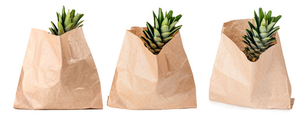 Pineapple in brown paper bag, great design for any purpose. Isolated on white background. Set of three photos