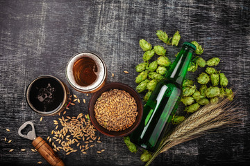 A bottle of beer with green hops, oat, wheat spikelets, opener and glasses with dark and light beer...