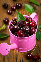 Cherry in Watering Can. Selective focus.