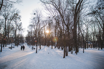 Fototapeta na wymiar view of snowed winter park of european city