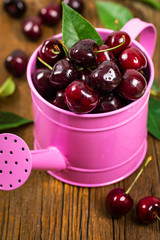 Cherry in Watering Can. Selective focus.