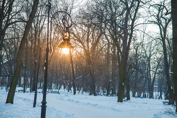 winter city park. sun in street light bulb