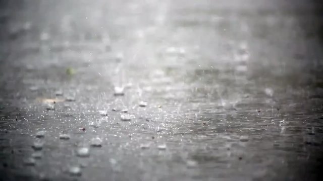 Heavy rain in autumn HD 1280x720