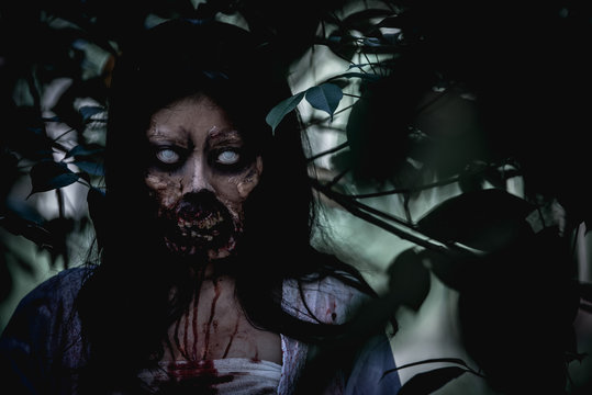 Portrait of asian woman make up ghost face with blood,Horror scene,Scary background,Halloween poster,Thailand people